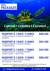 Tour Scuba Cancun