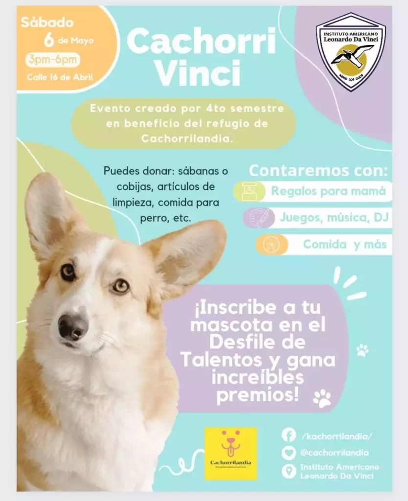 Cachorri Vinci